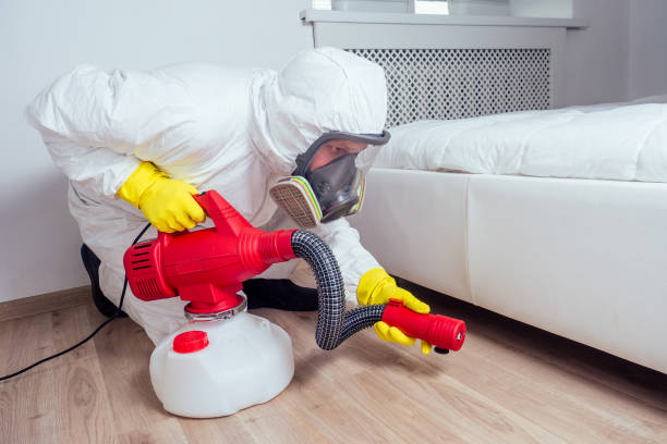 Best Emergency Pest Control  in Avoca, PA