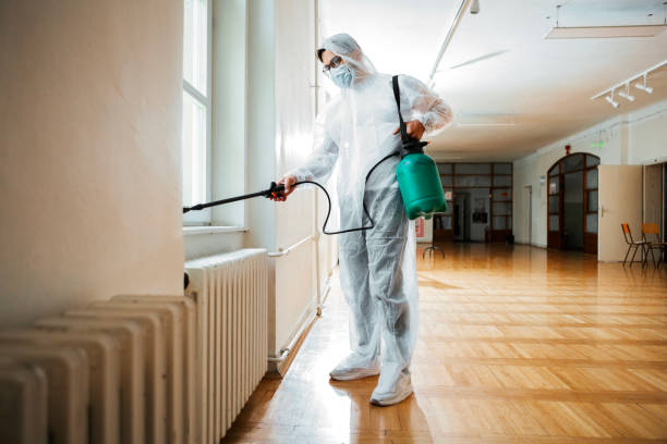 Best Best Pest Control Companies  in Avoca, PA